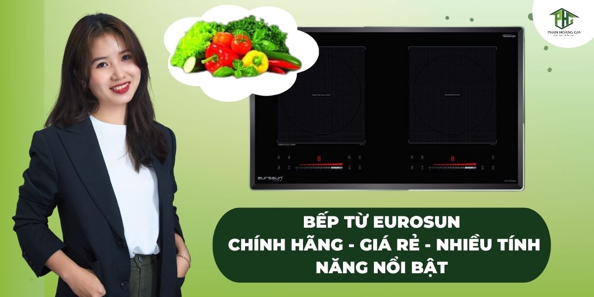 Bếp từ Eurosun chính hãng giá rẻ